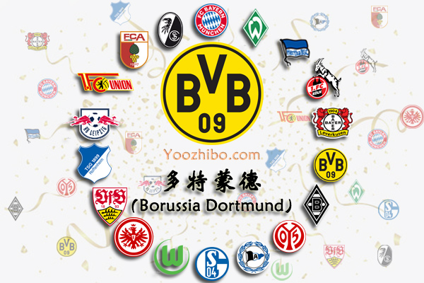 2020-21赛季<a href=/zuqiuxiangguan/dortmund/ target=_blank class=infotextkey>多特蒙德</a>阵容名单一览