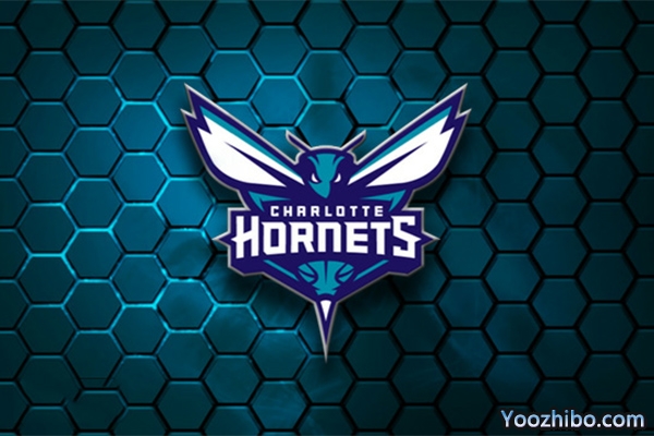 2019-2020赛季<a href=/lanqiuxiangguan/hornets/ target=_blank class=infotextkey>黄蜂</a>队队徽